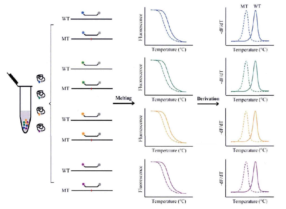 分子诊断与耐药检测平台